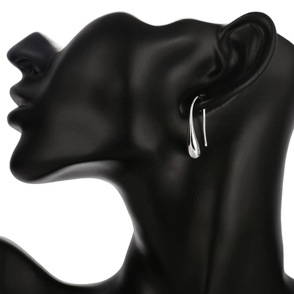 Sterling Silver Earrings - Picture 4 of 6